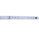 Світлодіодна стрічка BIOM Professional BPS-G3-24-RW-2835-120-NW 5000K, негерметична, 1м (00-00023432)