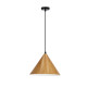 Люстра Candellux 31-23414 Dunca