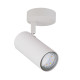 Бра Candellux 91-01603 Colly