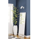 Бра Candellux 91-01603 Colly