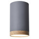 Точковий світильник Candellux 2282879 TUBA