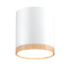 Точковий світильник Candellux 2273624 TUBA