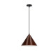 Люстра Candellux 31-23438 Dunca
