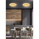 Стельовий світильник Candellux 98-66190 MERLE