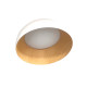 Люстра Candellux 13-24169 TRENTO