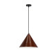 Люстра Candellux 31-23445 Dunca