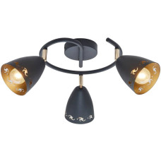 Спот Candellux 98-67180 COTY