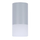 Точковий світильник Candellux 2273686 TUBA