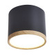 Точковий світильник Candellux 2275949 Tuba