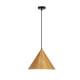 Люстра Candellux 31-23421 Dunca