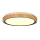 Стельовий світильник Candellux 14-33932 AFLO