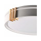 Люстра із пультом світлодіодна, стельовий світильник Goldlux 328847 Arletta 40 Led 1x48W 3000K-6000K 5200Lm IP44 Сірий (095406)