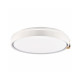Люстра із пультом світлодіодна, стельовий світильник Goldlux 328847 Arletta 40 Led 1x48W 3000K-6000K 5200Lm IP44 Сірий (095406)