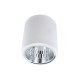 Точковий світильник Goldlux 307187 Jupiter E27 1x20W IP20 WH (008557)
