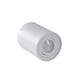 Точковий світильник Goldlux 313096 Hadar r1 GU10 1x10W IP20 WH (014375)