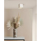 Точковий світильник Goldlux 325402 Xeno GU10 1x10W IP20 WH (071737)