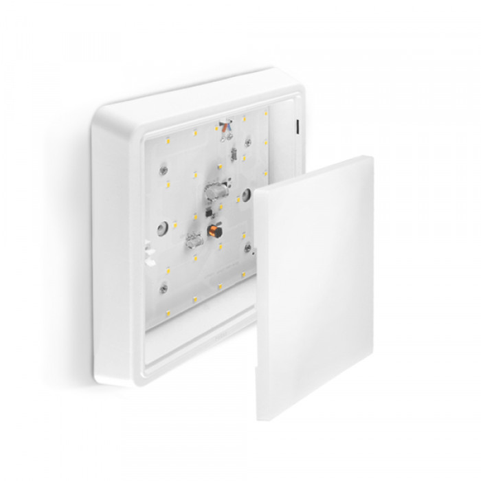 LED Світильник квадратний накладний TITANUM 24W 5000K (TL-BHS20-245)