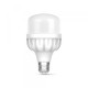 LED лампа TITANUM A80 20W E27 6500К (TL-HA80-20276)