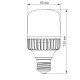 LED лампа VIDEX A65 20W E27 5000K (VL-A65-20275)