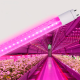 LED FITO лампа VIDEX T8F  9W 0.6M (VL-T8F-0906B)